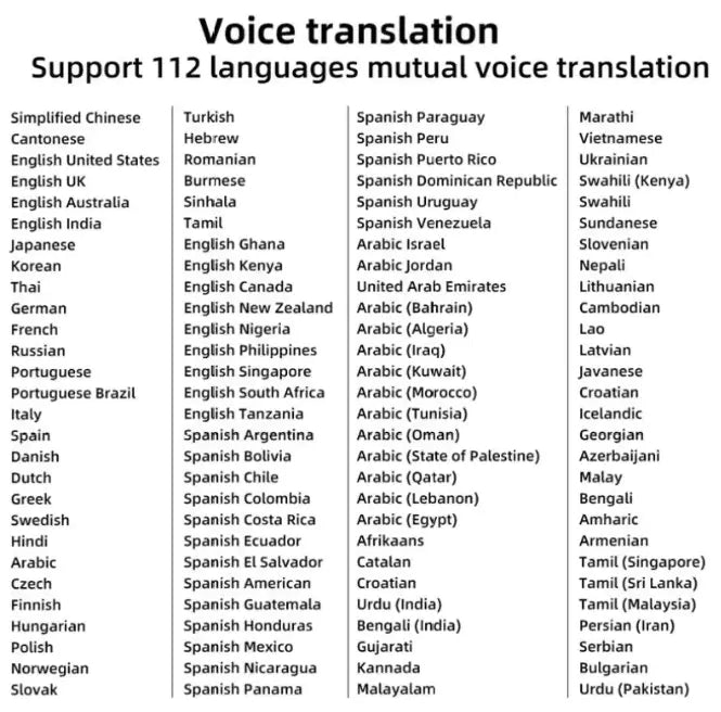 Travel Translation Pen